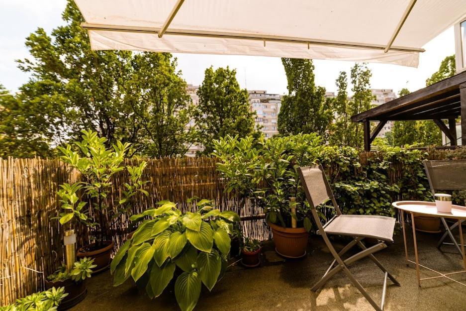 Eunice Apartament 오라데아 외부 사진
